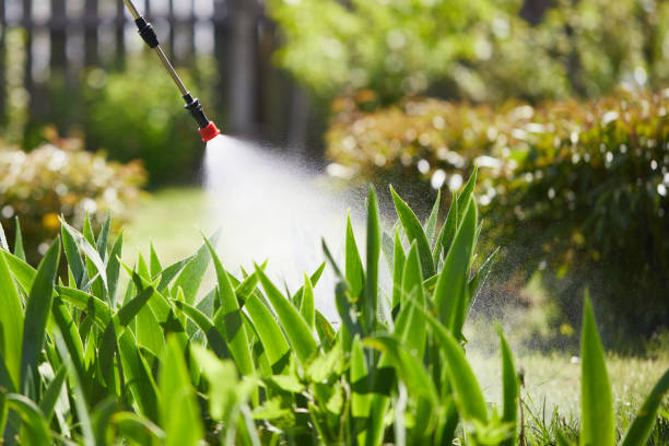 Tamper-Resistant Bait Stations for Rodents in Pineland