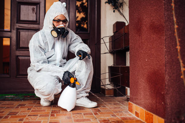 Attic and Crawl Space Rodent Treatment in Pineland