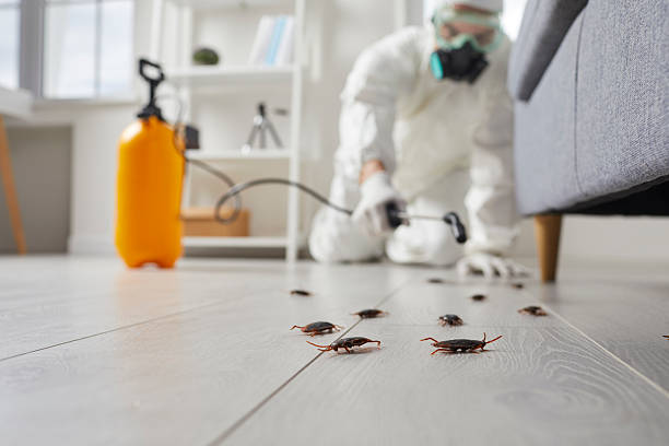 Commercial Rodent Management in Pineland